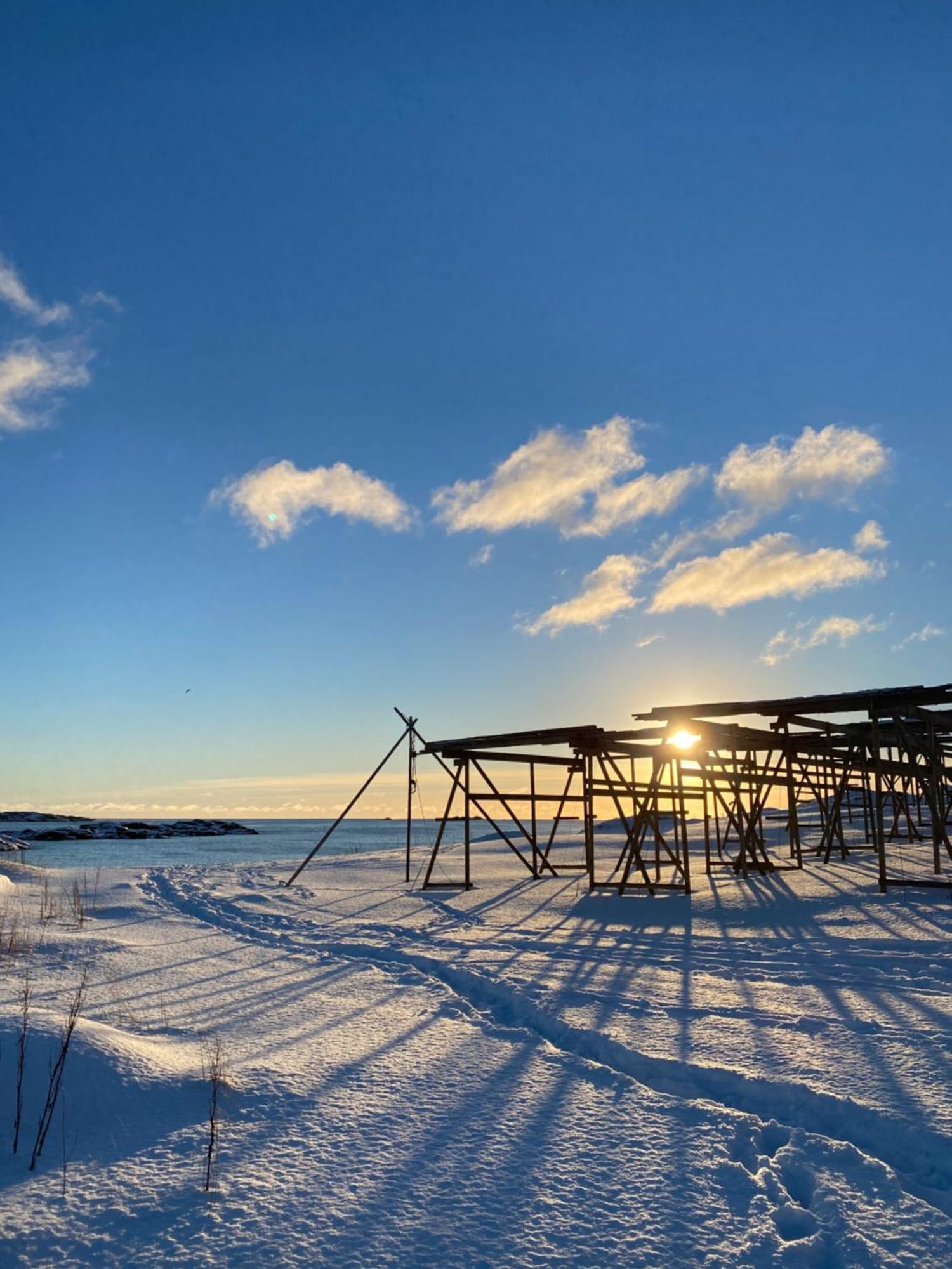 Superior Cabin Ballstad Lofoten Dış mekan fotoğraf